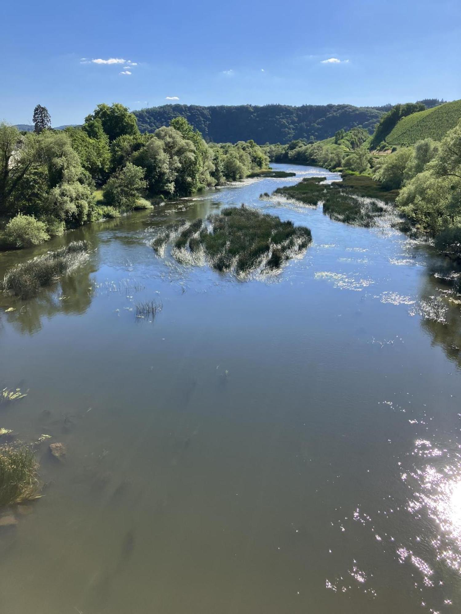 Gaestehaus Cantzheim Kanzem Zewnętrze zdjęcie